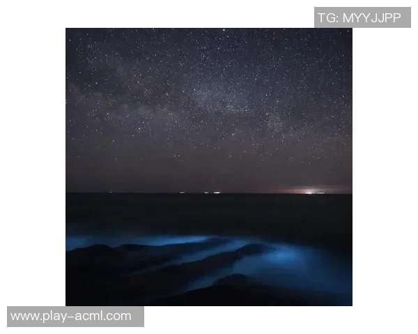 平静的圣诞夜没有惊喜与喧嚣让人感受到宁静的节日氛围